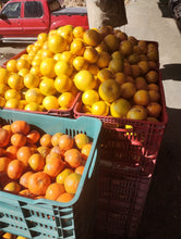 Cargar imagen en el visor de la galería, Naranjas kg