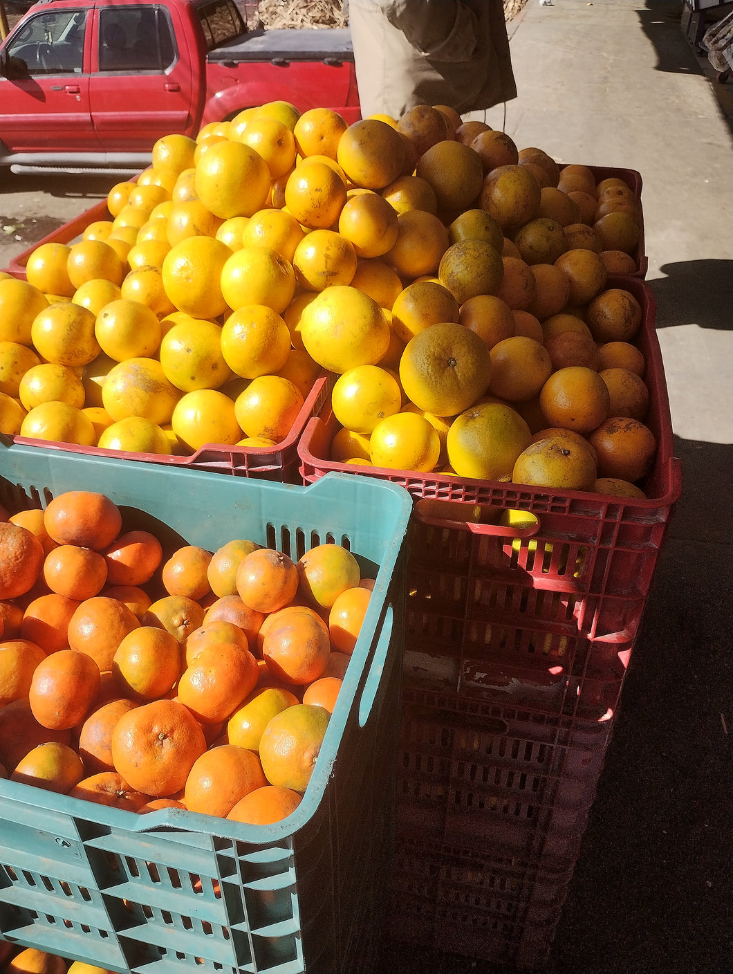 Naranjas kg