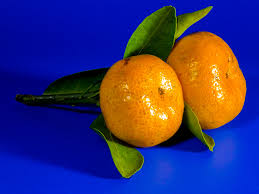 Mandarina  criolla 1 kilo